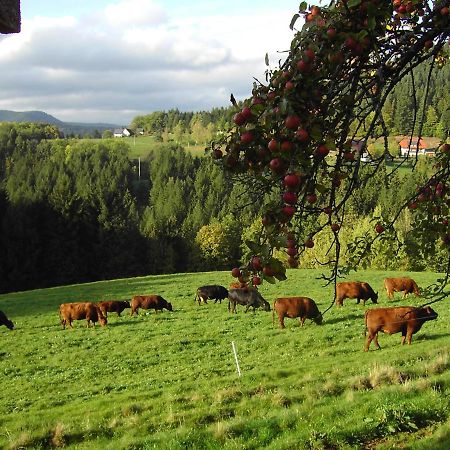 Ferienwohnung Hofenhof Schiltach Eksteriør bilde