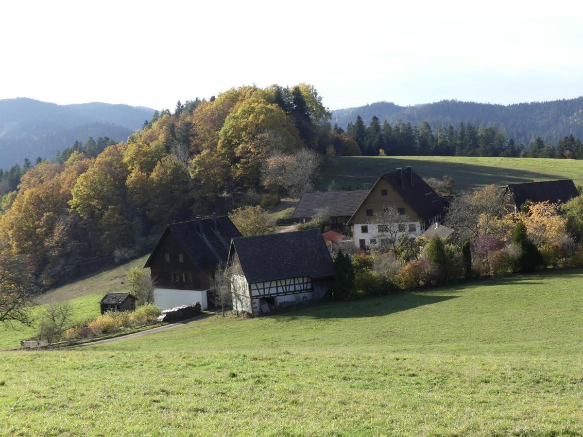 Ferienwohnung Hofenhof Schiltach Eksteriør bilde