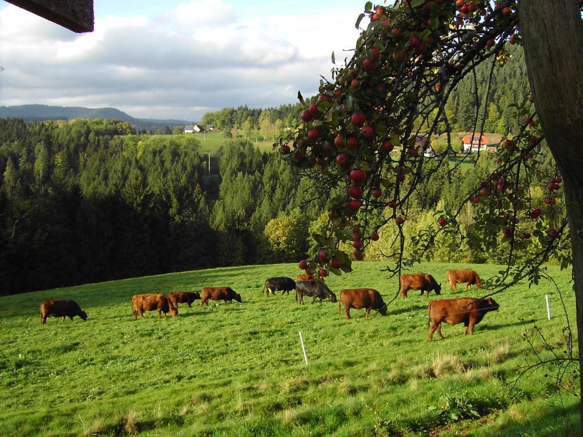 Ferienwohnung Hofenhof Schiltach Eksteriør bilde